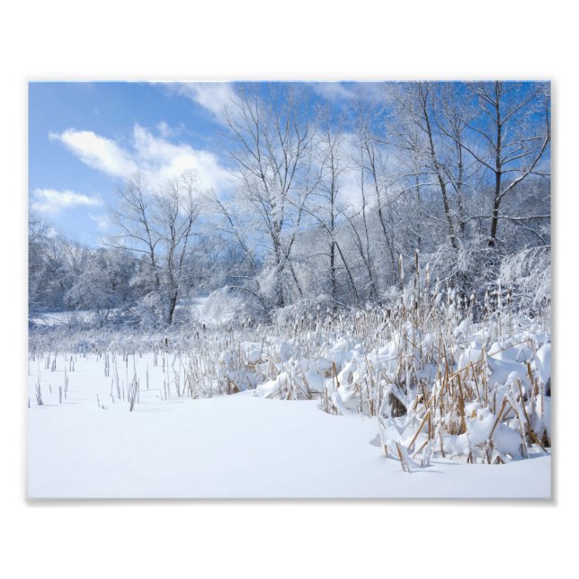 Snowy Marthaler Pond Trees and Reeds Fotodruck (Vorne)