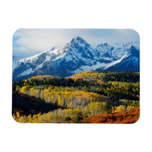 Snowy Mountain & Trees Magnet