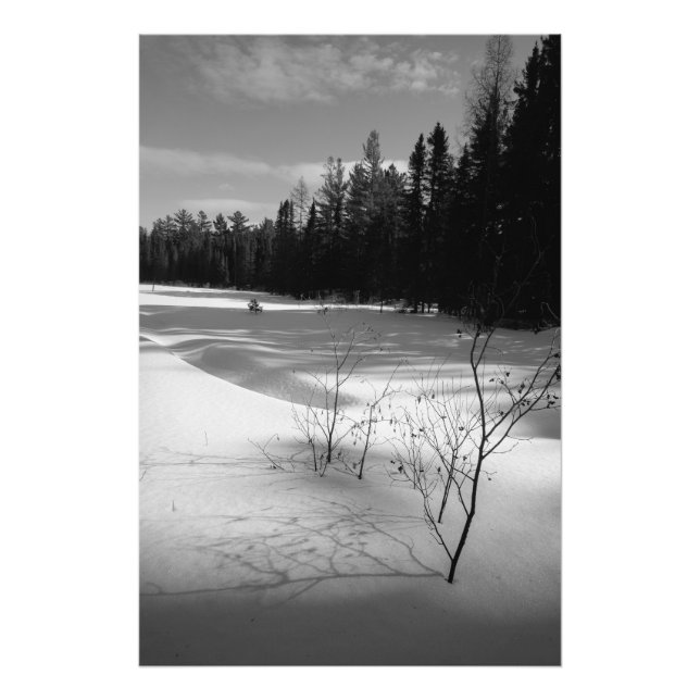 Snowy North Forest Fotodruck (Vorne)