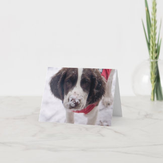 Snowy Nose Puppy Feiertagskarte