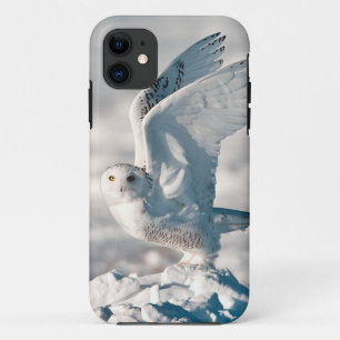 Snowy Owl abheben Case-Mate iPhone Hülle