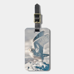 Snowy Owl abheben Gepäckanhänger