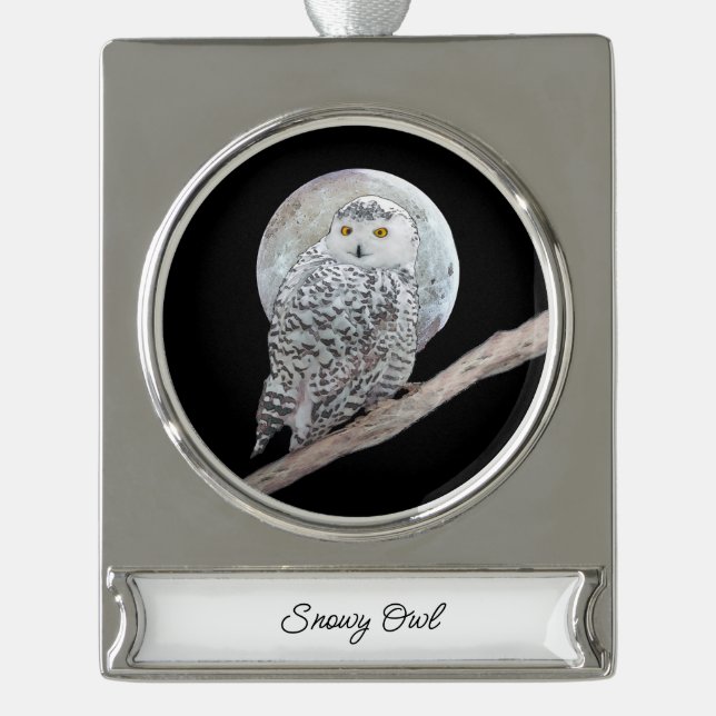 Snowy Owl and Moon Painting - Original Bird Art Banner-Ornament Silber (Vorderseite)