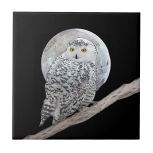 Snowy Owl and Moon Painting - Original Bird Art Fliese
