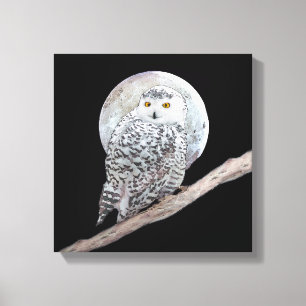 Snowy Owl and Moon Painting - Original Bird Art Leinwanddruck