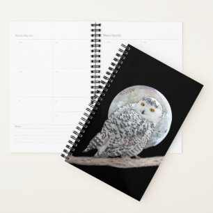Snowy Owl and Moon Painting - Original Bird Art Planer