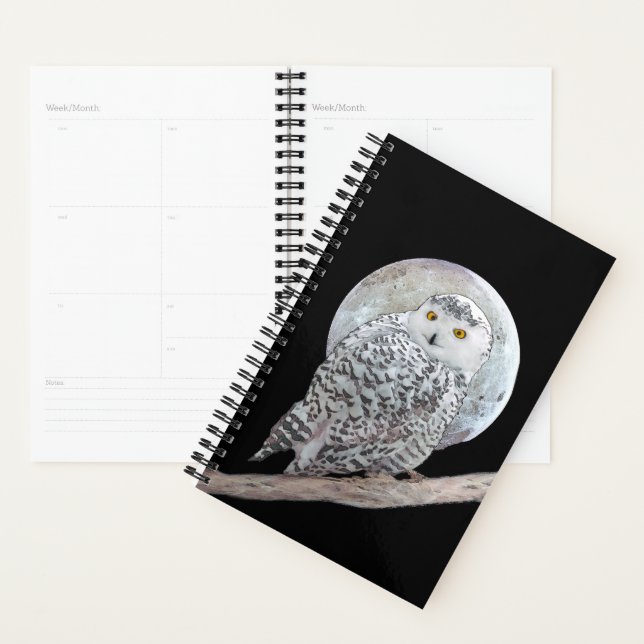 Snowy Owl and Moon Painting - Original Bird Art Planer (Anzeige)