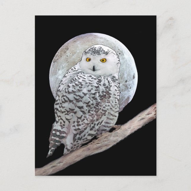 Snowy Owl and Moon Painting - Original Bird Art Postkarte (Vorderseite)