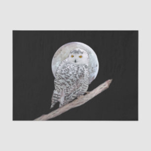 Snowy Owl and Moon Painting - Original Bird Art Seidenpapier