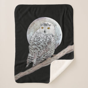 Snowy Owl and Moon Painting - Original Bird Art Sherpadecke