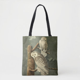 Snowy Owl Audubon Bird Artwork