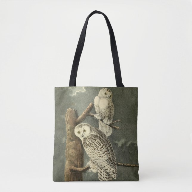 Snowy Owl Audubon Bird Artwork (Vorderseite)