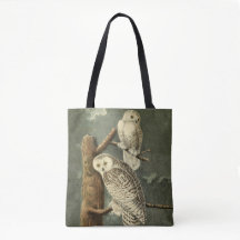 Snowy Owl Audubon Bird Artwork
