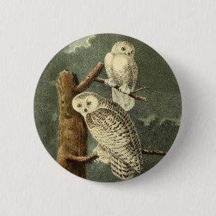 Snowy Owl Audubon Bird Artwork Button