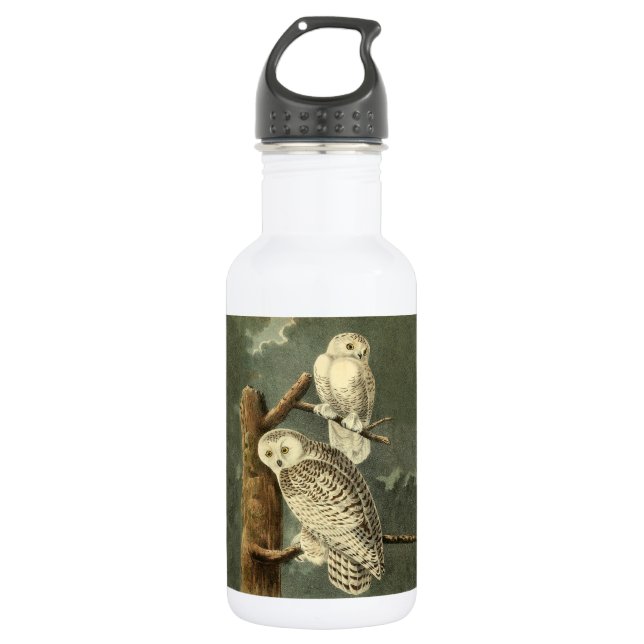 Snowy Owl Audubon Bird Artwork Edelstahlflasche (Vorderseite)