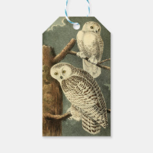 Snowy Owl Audubon Bird Artwork Geschenkanhänger