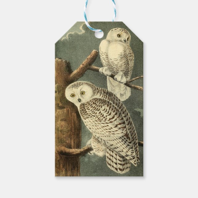 Snowy Owl Audubon Bird Artwork Geschenkanhänger (Vorderseite)