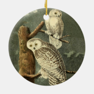 Snowy Owl Audubon Bird Artwork Keramikornament