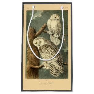 Snowy Owl Audubon Bird Artwork Kleine Geschenktüte