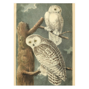 Snowy Owl Audubon Bird Artwork Tischdecke