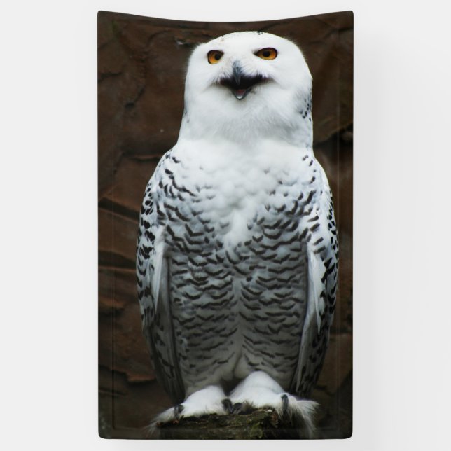 Snowy Owl bnrcna Banner (Vertikal)