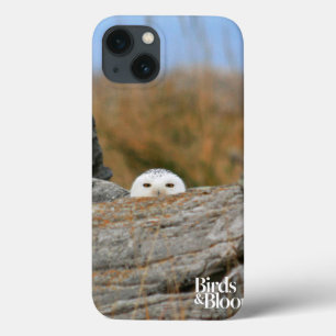 Snowy Owl Case-Mate iPhone Hülle