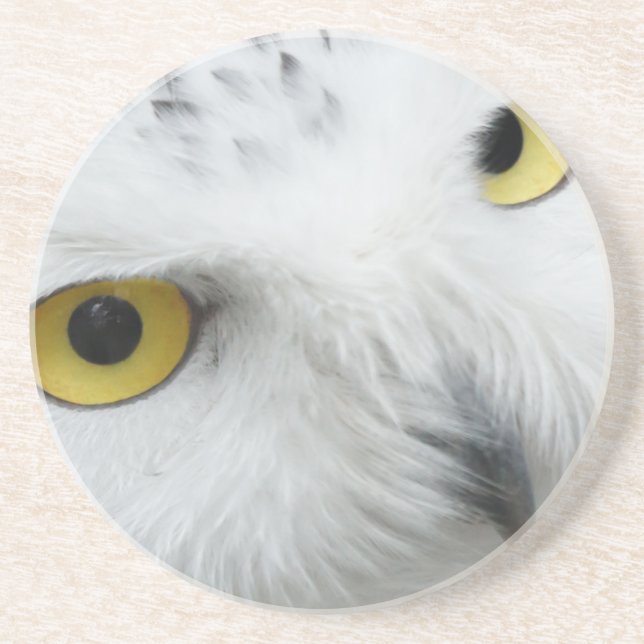 Snowy Owl Eyes Untersetzer (Vorne)