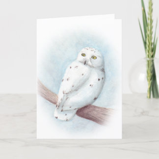 Snowy Owl Feiertagskarte