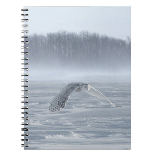 Snowy Owl Flying In Winter Notizblock