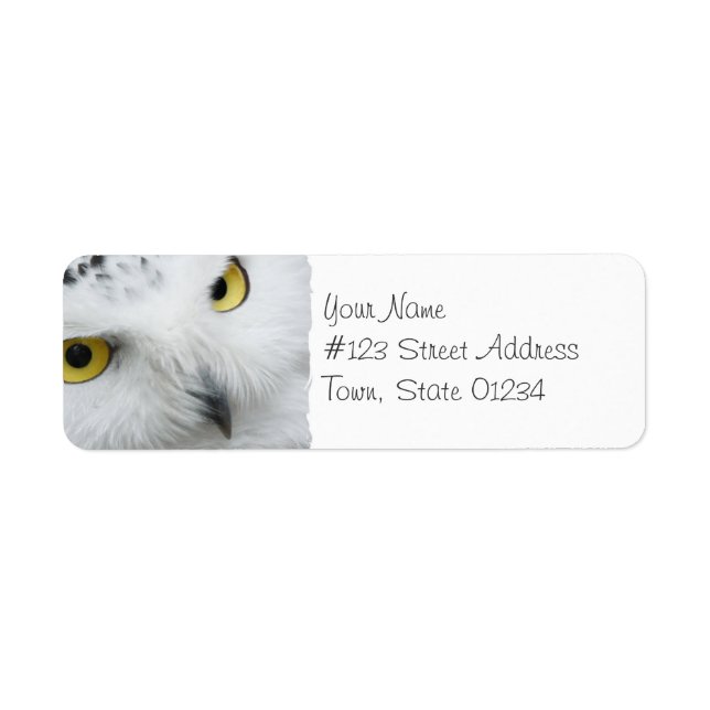 Snowy Owl Foto Mailing Labels (Vorne)
