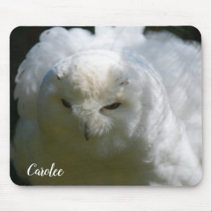 Snowy Owl Goes Floof Bird Lover Custom Name Mousepad