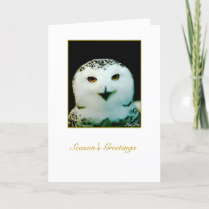 Snowy Owl Holiday Card - "Frohe Weihnachten" Feiertagskarte