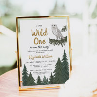 Snowy Owl Illustration Baby Shower