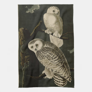 Snowy Owl, John James Audubons Vögel von Amerika Geschirrtuch