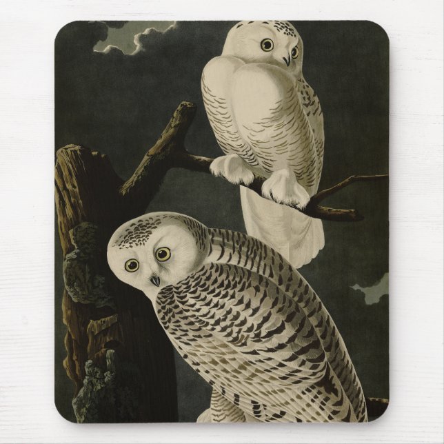Snowy Owl, John James Audubons Vögel von Amerika P Mousepad (Vorne)