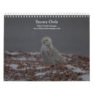 Snowy Owl Kalender 2026