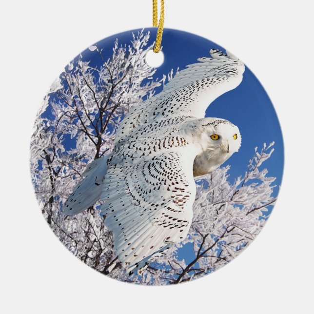"Snowy Owl" Keramik Ornament (Vorne)