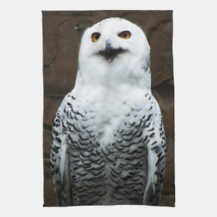 Snowy Owl ktcn Geschirrtuch