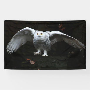 Snowy Owl mit Open Wings bnat Banner