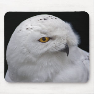 Snowy Owl Mousemat Mousepad