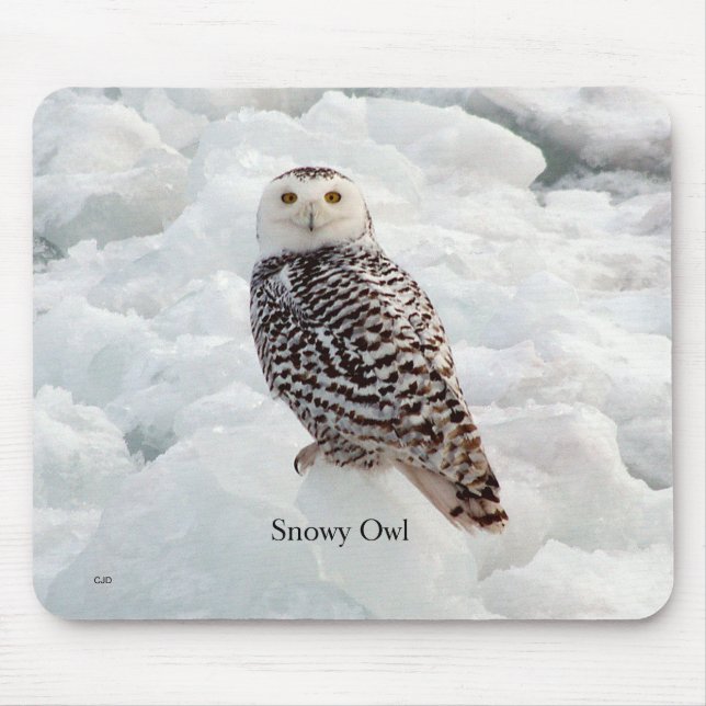 Snowy Owl Mousepad (Vorne)