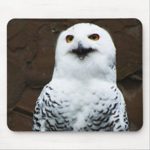 Snowy Owl mpcn Mousepad