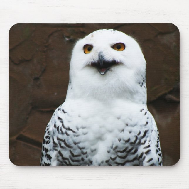 Snowy Owl mpcn Mousepad (Vorne)