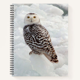 Snowy Owl Notebook Notizbuch