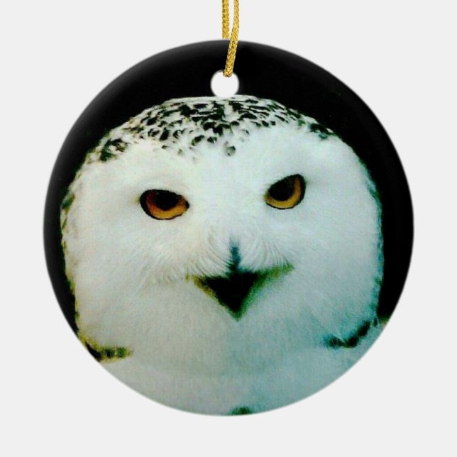 Snowy Owl Ornament (Vorne)