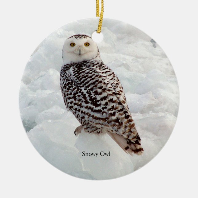 Snowy Owl Ornament (Vorne)