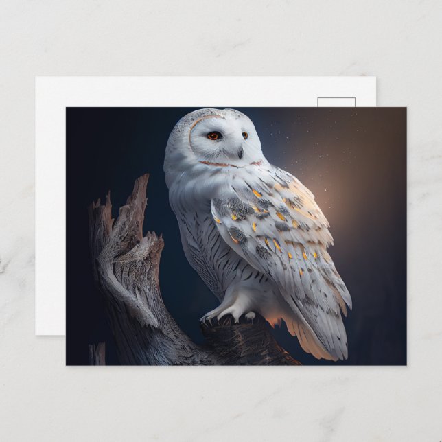 Snowy Owl Postkarten (Vorne/Hinten)