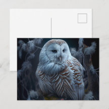 Snowy Owl Postkarten