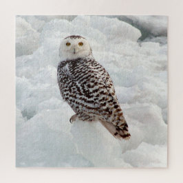 Snowy Owl Puzzle