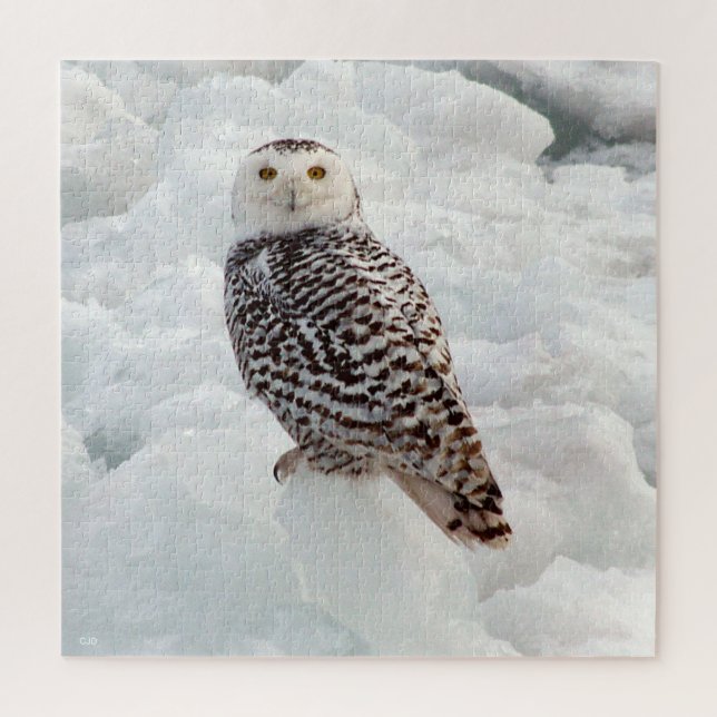 Snowy Owl Puzzle (Vertikal)